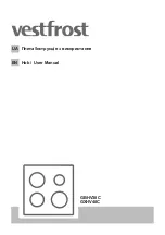 Vestfrost GBHV38C User Manual preview