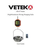 Vetek OCS-P Series User Manual preview