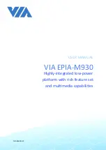 VIA Technologies 10GPD20G100A0 User Manual предпросмотр