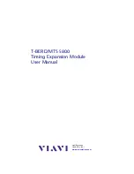 Предварительный просмотр 3 страницы Viavi T-BERD 5800 User Manual