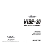 Preview for 1 page of Vibe 30 Operation Manual