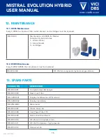 Предварительный просмотр 17 страницы VICI DBS MISTRAL EVOLUTION HYBRID User Manual