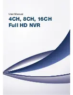 Vicon 16CH User Manual предпросмотр