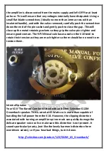 Preview for 10 page of Victory V10 The Baron User Manual