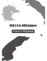 Предварительный просмотр 1 страницы Videk AS3200 User Manual