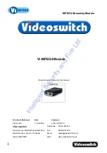 Videoswitch Vi-MPEG4 Manual предпросмотр