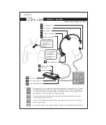 Preview for 2 page of Vielight X-Plus User Manual