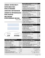 Viessmann NK-70 User Manual preview