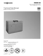 Viessmann VITOGAS 100 Technical Data Manual preview