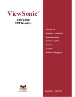 ViewSonic E55 User Manual предпросмотр