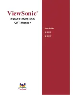 ViewSonic E91f User Manual preview