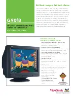 Preview for 1 page of ViewSonic G90FB Specification Sheet