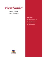 Preview for 1 page of ViewSonic Optiquest Q51B User Manual