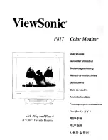 ViewSonic P817 User Manual preview