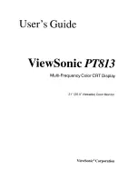 Preview for 2 page of ViewSonic PT813 User Manual