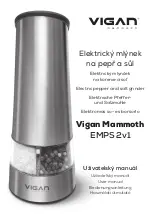 Vigan Mammoth EMPS 2v1 User Manual preview