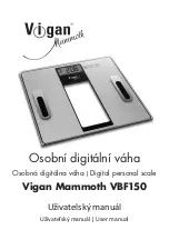 Vigan Mammoth VBF150 User Manual preview