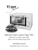 Vigan T45L User Manual предпросмотр