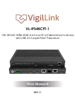 Предварительный просмотр 1 страницы VigilLink VL-IPS4KCFT-1 User Manual