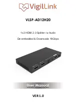 VigilLink VLSP-AD12H20 User Manual предпросмотр