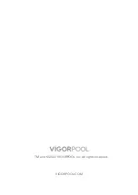 Предварительный просмотр 13 страницы VigorPool CAPTAIN 1200 User Manual