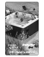 Viking spas Destiny River 2011 Owner'S Manual preview