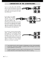 Предварительный просмотр 36 страницы VINCENT SV-236MK Instructions For Use Manual