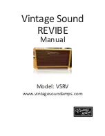 Preview for 1 page of VINTAGE SOUND AMPS REVIBE VSRV Manual