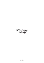 Preview for 20 page of Vintage Vinyl VV-SV-TT User Manual