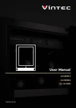 Vintec AL-V40SG e User Manual предпросмотр