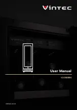 Vintec V20SGEBK User Manual preview