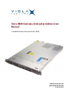 Viola Systems M2M User Manual preview