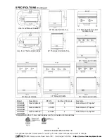 Preview for 4 page of Vionet GAS COUNTER SERIES Installation & Operation Manual