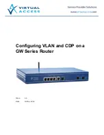 virtual access GW Series Configuration Manual preview