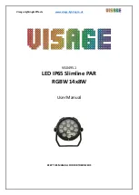 ViSAGE VIS0495.1 User Manual предпросмотр