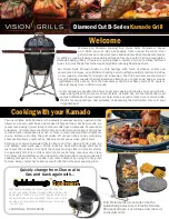 Vision grills B-DCK16C1AD1 User Manual предпросмотр