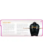 Preview for 2 page of Vision grills KAMADO CLASSIC P SERIES User Manual