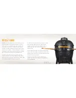 Предварительный просмотр 2 страницы Vision grills KAMADO PROFESSIONAL S SERIES User Manual