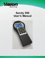 Предварительный просмотр 1 страницы Vision metering Sentry 950 User Manual