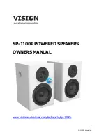 Preview for 1 page of Vision SP-1100P Owner'S Manual