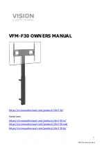 Vision VFM-F30 Owner'S Manual предпросмотр