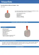 VisionTek SoundCube 901323 Manual предпросмотр