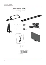 Preview for 6 page of Viso Systems LightSpion User Manual