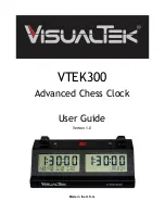VisualTek VTEK300 User Manual preview