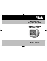 Vitek VT-1011 Manual Instruction preview