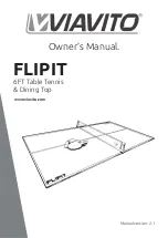 Vivato FLIPIT Owner'S Manual preview