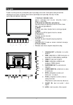 Предварительный просмотр 41 страницы Vivax 32LE64T2 User Manual