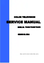 Preview for 1 page of Vivax TV-2104 Service Manual