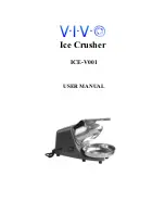 Vivo ICE-V001 User Manual preview