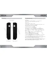 Preview for 8 page of VM Audio ELUX EXAT20-CR-BK User Manual